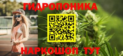 индика Заводоуковск