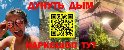 индика Заводоуковск