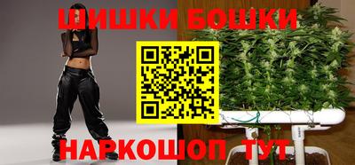 индика Заводоуковск