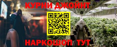 индика Заводоуковск
