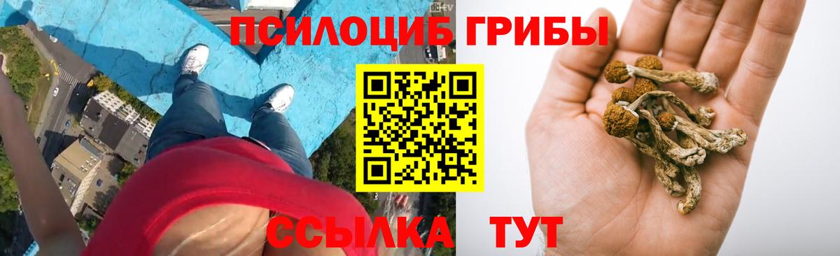 Галлюциногенные грибы Cubensis  Галлюциногенные грибы мицелий  Вход с VPN  Кыштым 